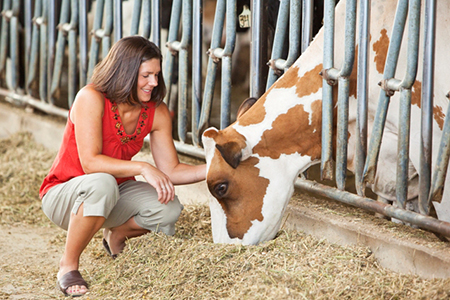 Grass to Glass: Dairy Farmers’ Commitment to Sustainability
