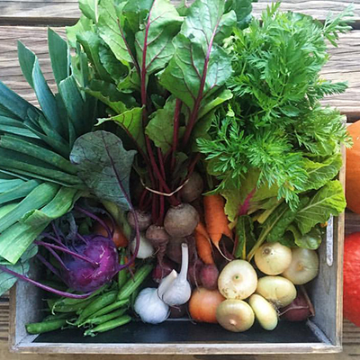 Sprout City Farms-CSA-food box