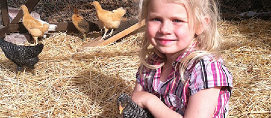 4 Ways to Teach Your Kids Where Food Comes From