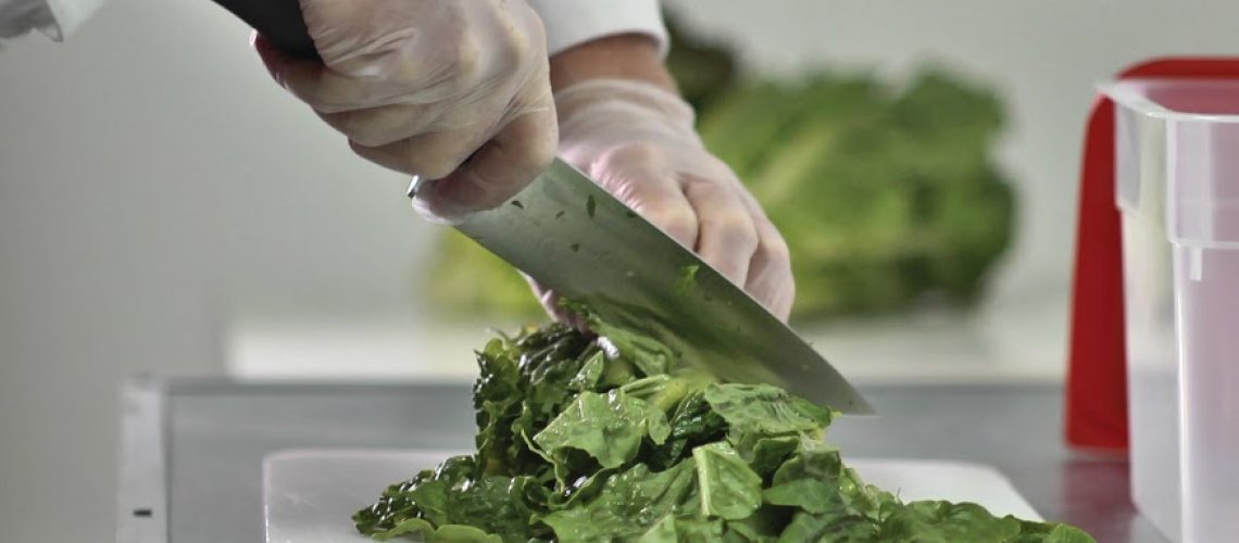 chef bio placeholder-chopping lettuce